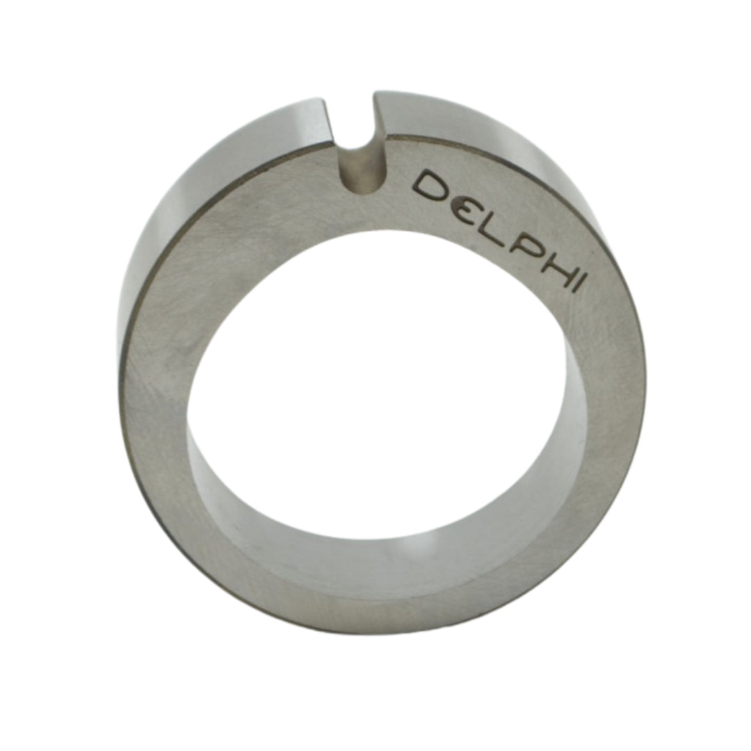 Anillo_Excentrico_7139-223_Delphi_3