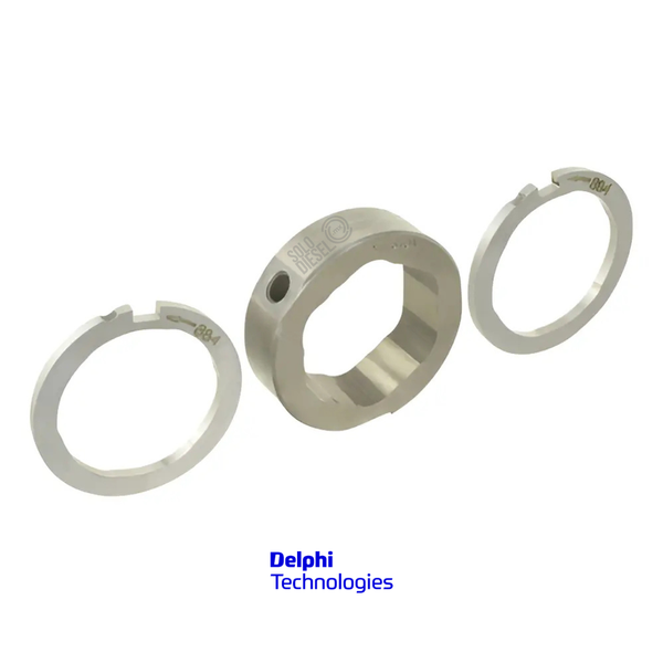 Aro Anillo de Levas 7174-067EG Delphi para Bomba Diésel DP200 CAV — Kit Anillo y Placa Espiral