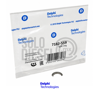 Anillo Abierto 7182-559 Delphi para Bomba Diésel DPS / DP200 CAV