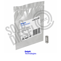 Resorte Regulador PT 7185-672B Delphi para Bomba Diésel DP200 / DP210 / DP310 CAV