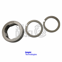 Aro Anillo de Levas 7189-100CA Delphi para Bomba Diésel DP200 / DP210 / DP310 CAV — Ford Transit 2.2 TDCi / John Deere