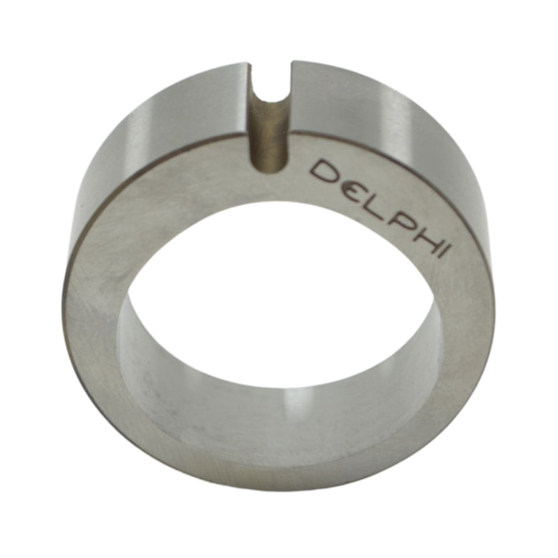 Anillo_Excentrico_7139-223_Delphi_1