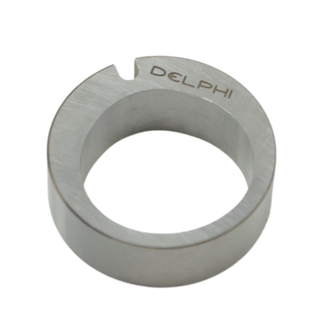 Anillo_Excentrico_7139-223_Delphi_2