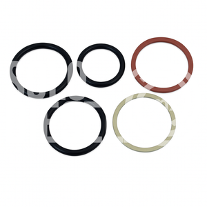 Kit de Ligas Externas DPS0044 Dipaco para Inyector C7/C9 HEUI Cartepillar